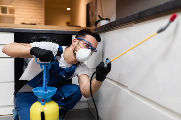 Best Bed Bug Extermination  in Paramount Long Meadow, MD