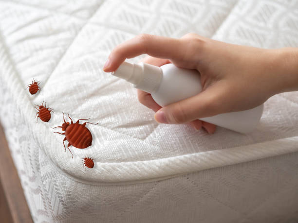 Best Pest Control Near Me  in Paramount Long Meadow, MD