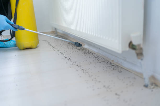 Reliable Paramount Long Meadow, MD Pest Control Solutions