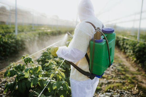 Best Affordable Pest Control Services  in Paramount Long Meadow, MD